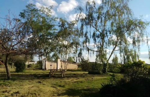 Le Grand Pré - Photo 11