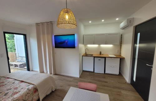 Demeure Cosy & Table d'Hôtes à Cahors - Chambres d'hôtes - Studio La Pause Cadurcienne - Foto 12