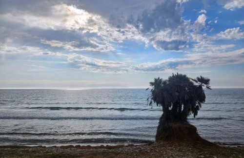 Mondrian Magic World - sea view first line of the beach - Photo 7