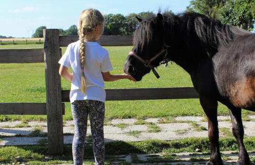 NORDSEE Bauernhof Familie Wulff FeWo "Südfall" - Foto 23
