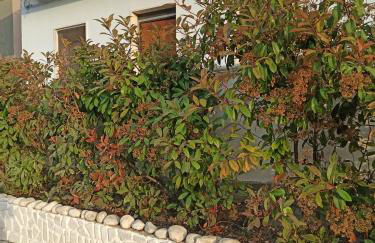 Rosa dei Venti house - Photo 27