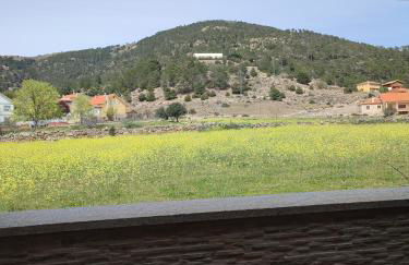 Chalet Pinara - Photo 21