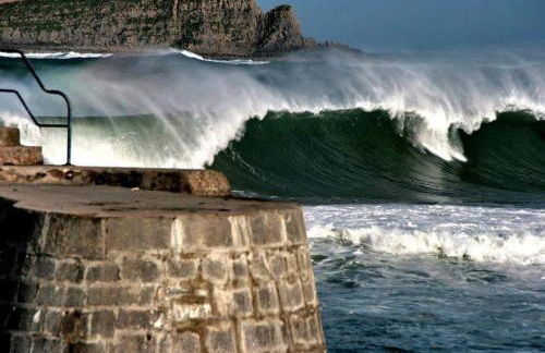 Amalur EBI 741 URDAIBAI - Photo 56