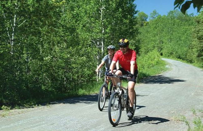 Adelaide Caravan Park - Photo 36