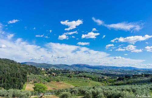 Fattoria di Maiano - Foto 116