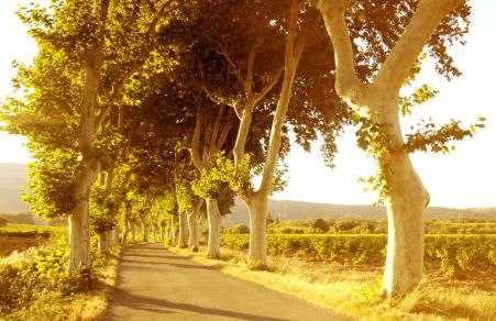 La Petite Maison - Foto 15