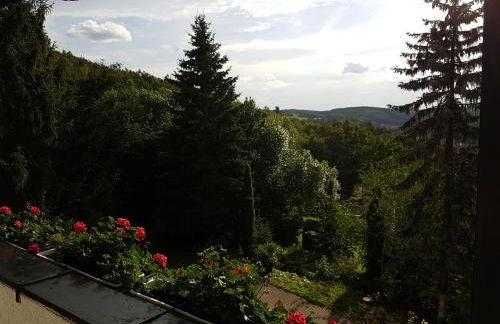 Schweizer Haus Wippra - Foto 30