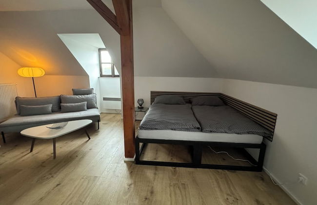 Family Apartments Černice - Foto 38