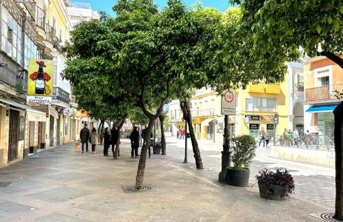 Alojanómadas Jerez Centro - Foto 6
