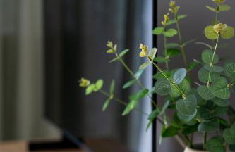 Apartament Willa Lniana - Foto 9