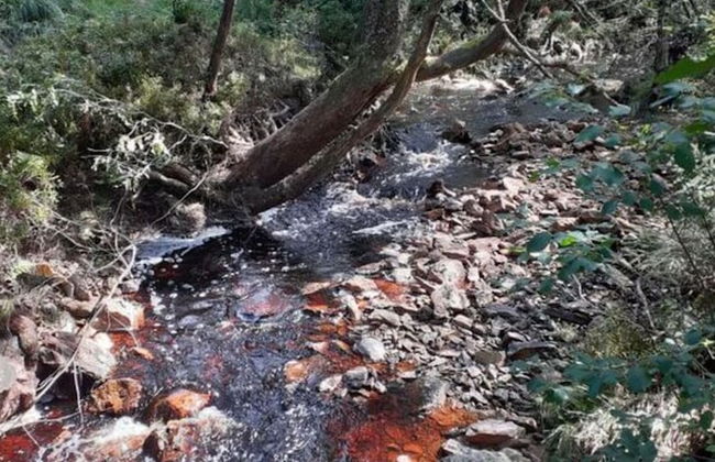 Haus Wiesenblick Comfortable Holiday Residence - Foto 12