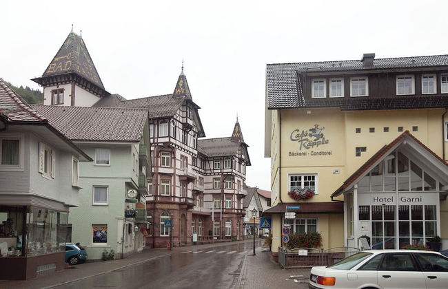 Modern Apartment in Bad Peterstal-griesbach With Vineyards - Foto 73