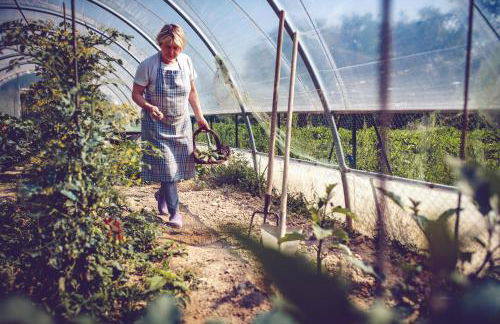 Agriturismo Casal San Sergio - Photo 66