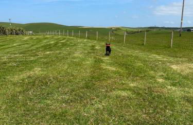 Bunnahabhain 5 - Farm Stay - Stunning sea and rural views - Photo 28