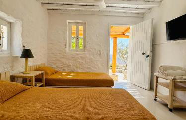 Stone Built Villa Ferretti - Foto 29