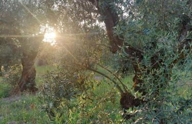 Casa Limonina - Foto 73