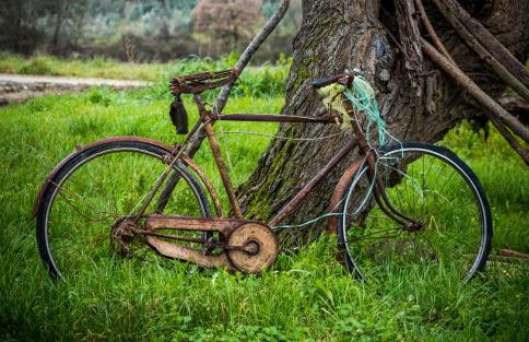 Agriturismo Le Canterie - Foto 60