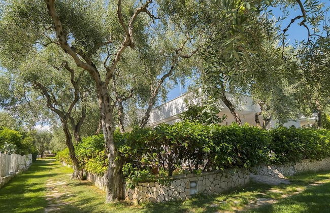 Ferienwohnung "ulivo" mit Pool und Privatstrand -1 - Foto 50