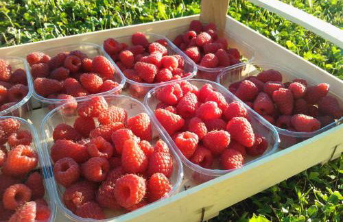 Agriturismo Tenuta Valletti. - Foto 58