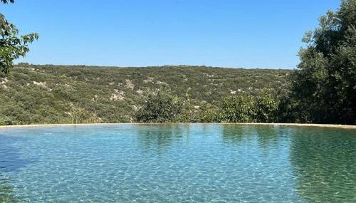 Villa 6 Pers Uzes piscine lagon et vue garrigue - Foto 3