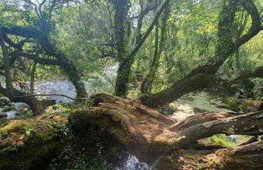 Timber valley - Foto 69