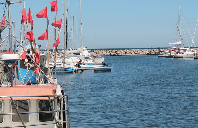 Ferienhaus in Ostseenaehe - Photo 38