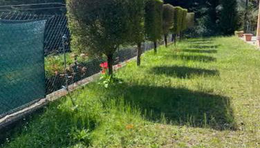 La Baita Cottage - Foto 4, Garden