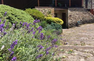 Rectoral De Lestedo - Foto 23