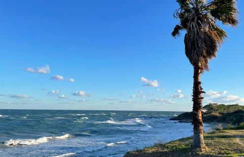 Appartement 2 pièces bord de mer - Foto 35