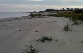 Zum alten Seemann - Foto 18