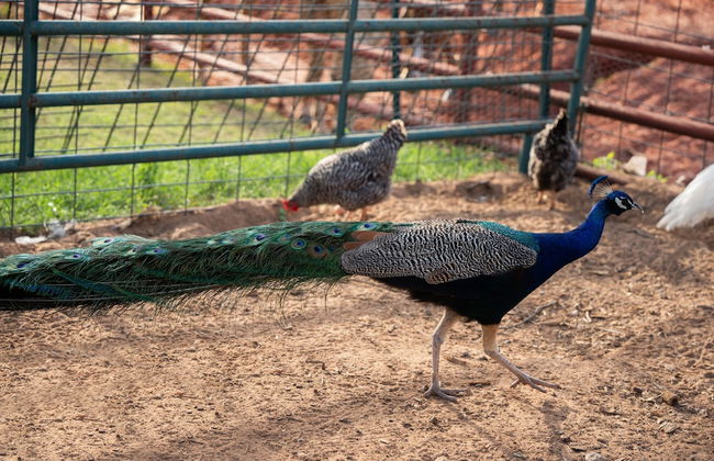 Peaceful Luxurious Ranch Family Reunion - Photo 56