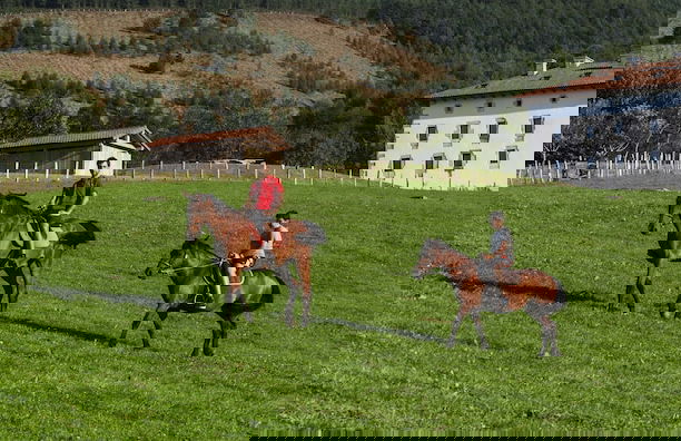 Cabañas Deluxe Basajaun Basoa by IrriSarri Land - Foto 57