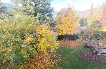 Cal Pastor de Planès - Foto 25