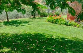 Casa rural Quinta de los Almiares - Foto 43