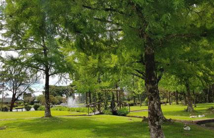 Luxuoso Flat no Laje de Pedra -Mountain Village - Foto 44