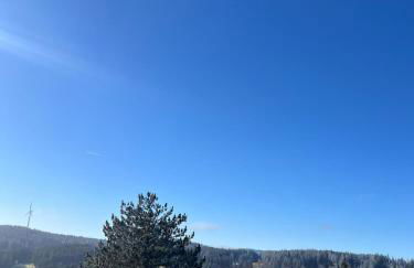 Apartment Kennys Bergblick Pool Sauna Tennis - Foto 16