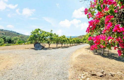 Panorama Paradiso by CasadeLuz, 5Acre 360 Retreat close to Old Town Temecula Wine Country - Foto 42