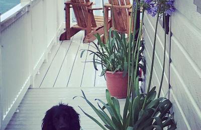 SeaView Sleeps 4to6 Pet friendly Parking - Photo 47