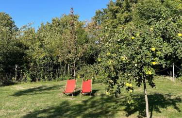 Ferienhaus an der Selke - Foto 16