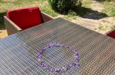 Behagliches Cottage am See - Foto 22