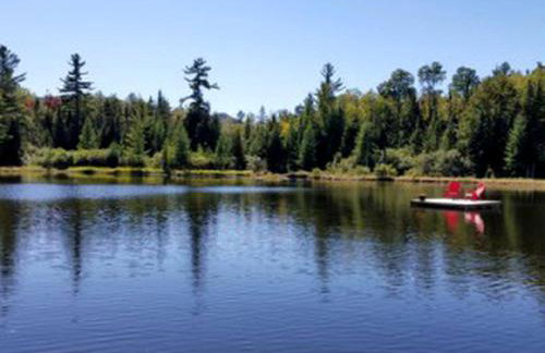 Rustic Cabin for a Weekend Getaway near McKenzie Mountain Wilderness in New York - Foto 9