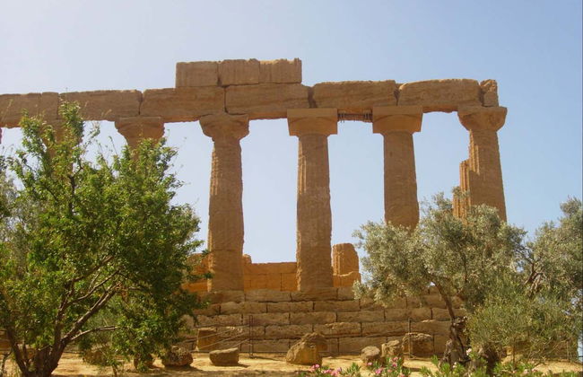 Valley of the Temples + Roman Villa of Casale Day Trip - Foto 10