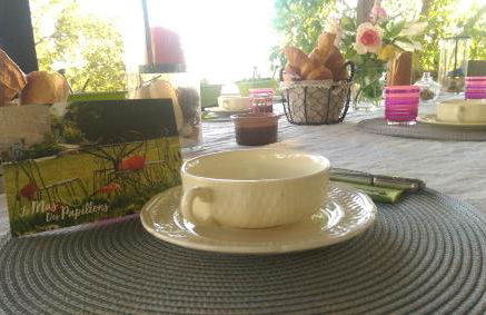 Le Mas des Papillons - Foto 40