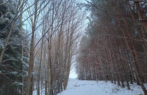 Domek - Na Lipę - Foto 30