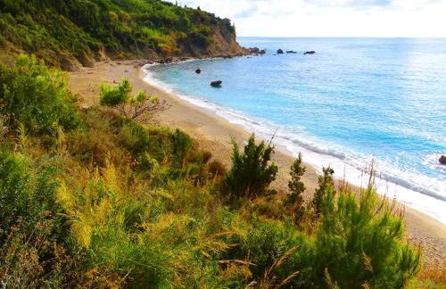 Vissala Village - Foto 72