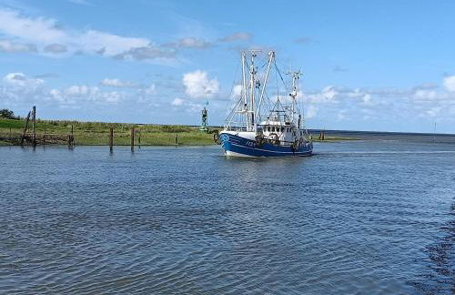 Apart-Lachmoewe-im-Moewennest-Tossens - Foto 24