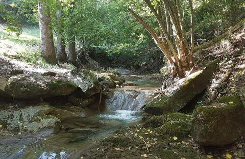 Apartamento CA L'ANTON con Parking - Foto 48