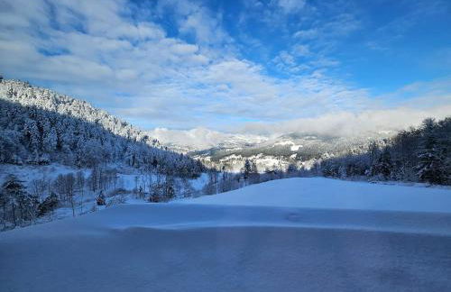 Le Hangar des Ô Evasion nature et Spa - Foto 11