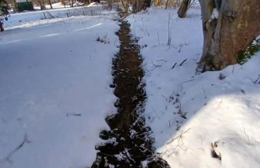 Ferienhaus Schlosswaldblick im Erzgebirge - Foto 21