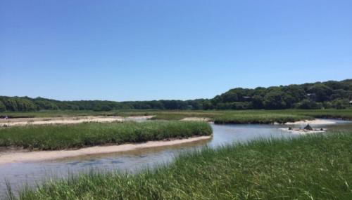 The Happy Place - Foto 3